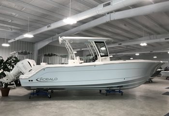 2024 Robalo R302 Ice Blue Boat
